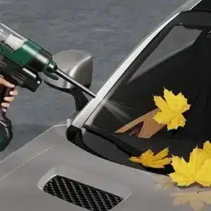 فرد غسيل السيارة المائي مع نفخ و شفط هوائي 3 في 1 جرين لايون